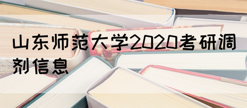 山东师范大学2020考研调剂信息