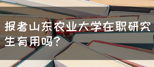 报考山东农业大学在职研究生有用吗？