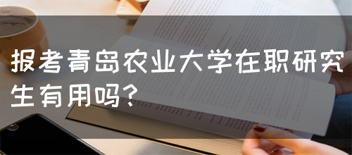 报考青岛农业大学在职研究生有用吗？