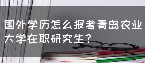 国外学历怎么报考青岛农业大学在职研究生？