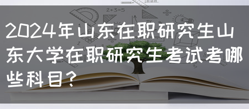 2024年山东在职研究生山东大学在职研究生考试考哪些科目？