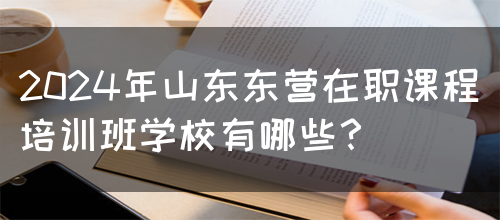 2024年山东东营在职课程培训班学校有哪些？