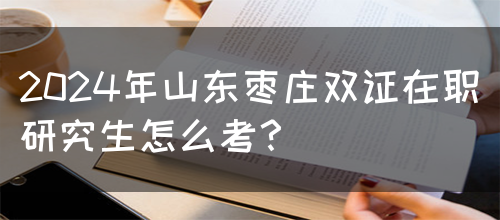 2024年山东枣庄双证在职研究生怎么考？