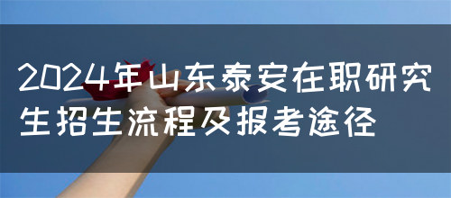 2024年山东泰安在职研究生招生流程及报考途径