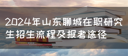 2024年山东聊城在职研究生招生流程及报考途径